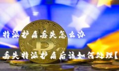特派护盾丢失怎么办丢失特派护盾后该如何处理