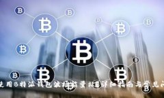 : 如何使用B特派钱包波场能量站？详细指南与常