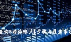 如何查询B特派账户？步骤与注意事项详解