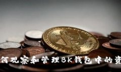 :如何观察和管理BK钱包中的资产