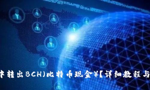 如何在B特派中转出BCH（比特币现金）？详细教程与常见问题解答
