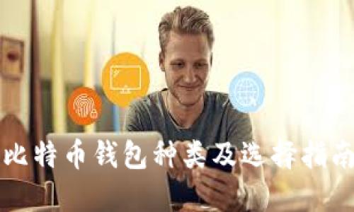 比特币钱包种类及选择指南