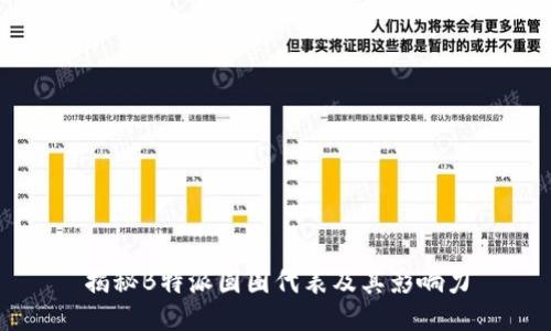 揭秘B特派圆圈代表及其影响力