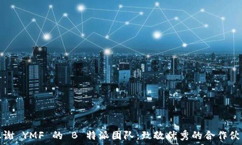   
感谢 YMF 的 B 特派团队：致敬优秀的合作伙伴