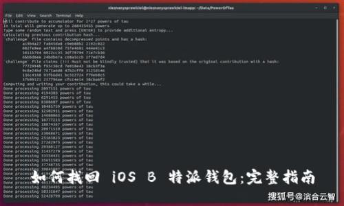 如何找回 iOS B 特派钱包：完整指南