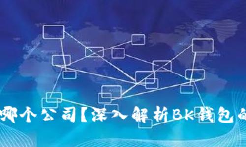 BK钱包属于哪个公司？深入解析BK钱包的背景与发展