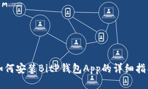 如何安装BitP钱包App的详细指南