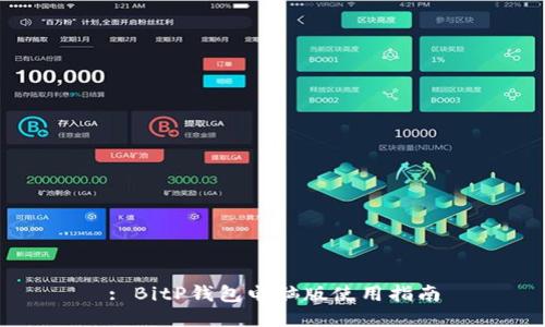 : BitP钱包电脑版使用指南