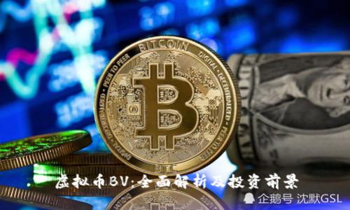 虚拟币BV：全面解析及投资前景