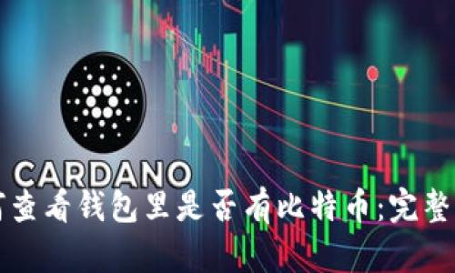 如何查看钱包里是否有比特币：完整指南