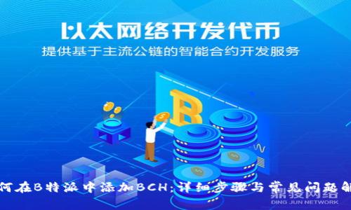 如何在B特派中添加BCH：详细步骤与常见问题解答