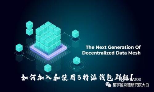 如何加入和使用B特派钱包群组？