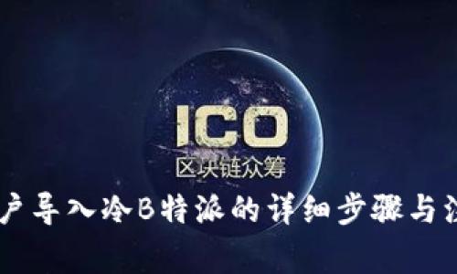 冷HD账户导入冷B特派的详细步骤与注意事项