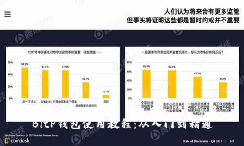 BitP钱包使用教程：从入门到精通