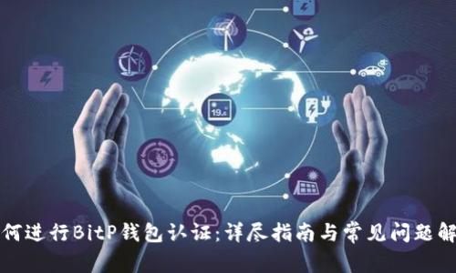 如何进行BitP钱包认证：详尽指南与常见问题解答