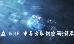 如何在 BitP 中导出私钥密码：详尽指南