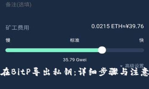 如何在BitP导出私钥：详细步骤与注意事项