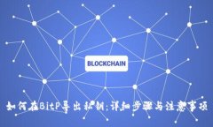 如何在BitP导出私钥：详细步骤与注意事项