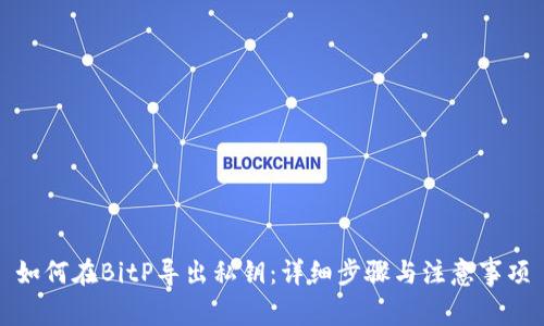 如何在BitP导出私钥：详细步骤与注意事项