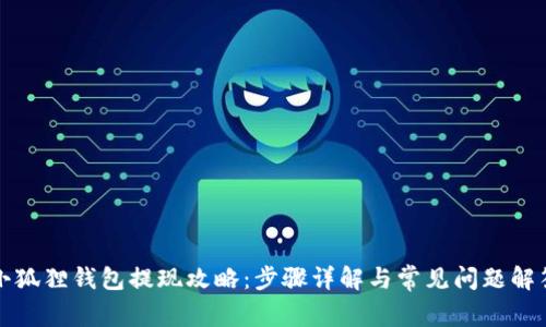 小狐狸钱包提现攻略：步骤详解与常见问题解答