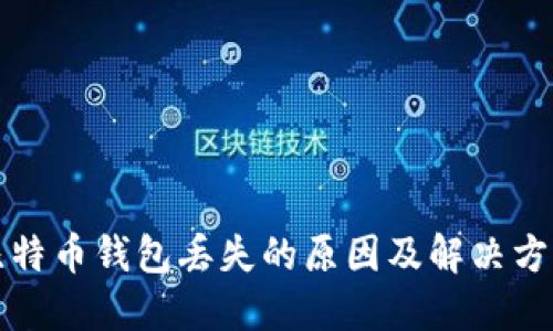 比特币钱包丢失的原因及解决方案