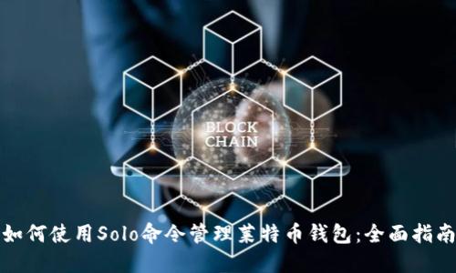 如何使用Solo命令管理莱特币钱包：全面指南