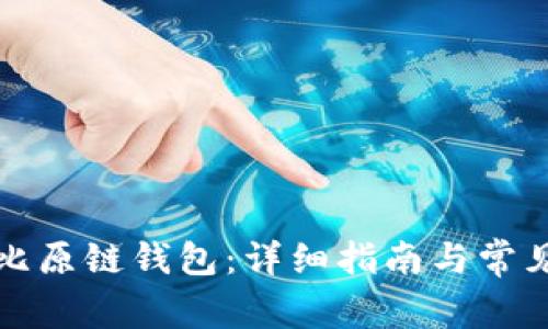 如何使用比原链钱包：详细指南与常见问题解答