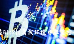 如何在BitPie离线环境中设置密码登录