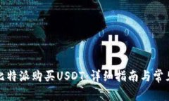 如何通过比特派购买USDT：详细指南与常见问题解
