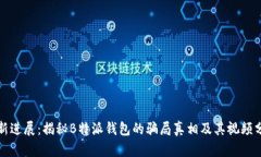 最新进展：揭秘B特派钱包的骗局真相及其视频分