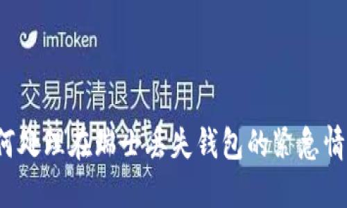 如何处理在瑞士丢失钱包的紧急情况？