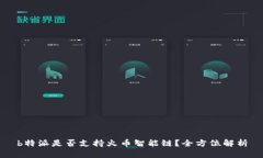 b特派是否支持火币智能链？全方位解析