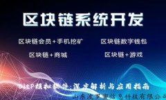 BitP模拟软件：深度解析与应用指南