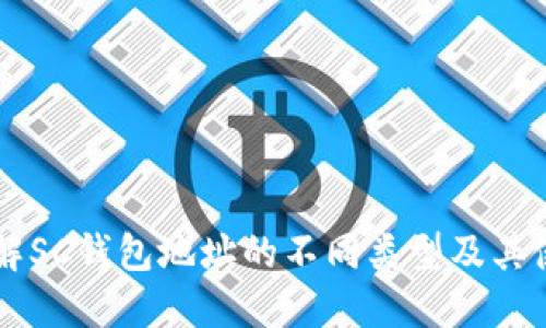 理解SC钱包地址的不同类型及其使用