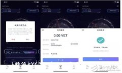 b特派KYCB不通过的原因及解决方案