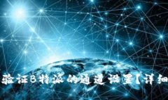 如何验证B特派的通道设置？详细指导
