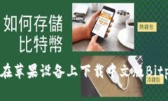 如何在苹果设备上下载中文版Bitp钱包