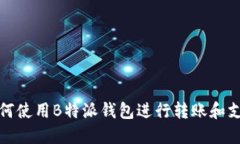 如何使用B特派钱包进行转账和支付
