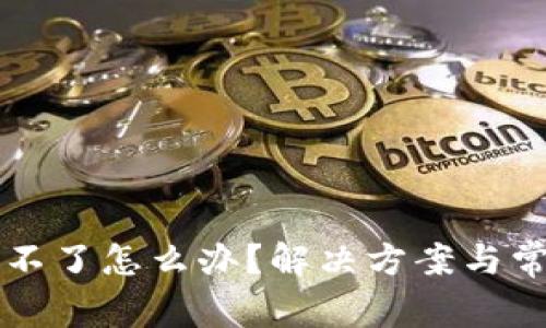 比特派下载不了怎么办？解决方案与常见问题解析