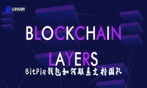 BitPie钱包如何联系支持团队