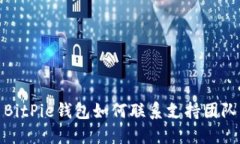 BitPie钱包如何联系支持团队