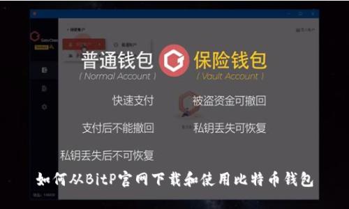 如何从BitP官网下载和使用比特币钱包