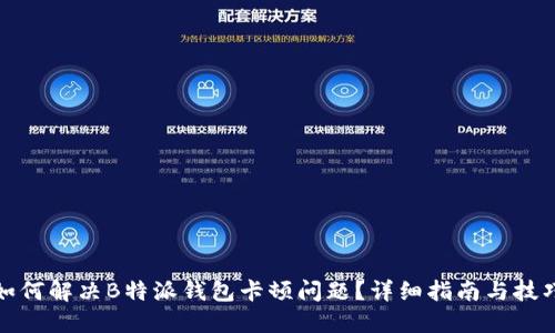如何解决B特派钱包卡顿问题？详细指南与技巧