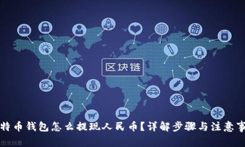 比特币钱包怎么提现人民币？详解步骤与注意事项