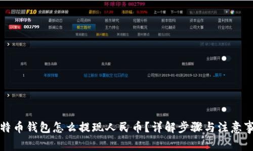 比特币钱包怎么提现人民币？详解步骤与注意事项