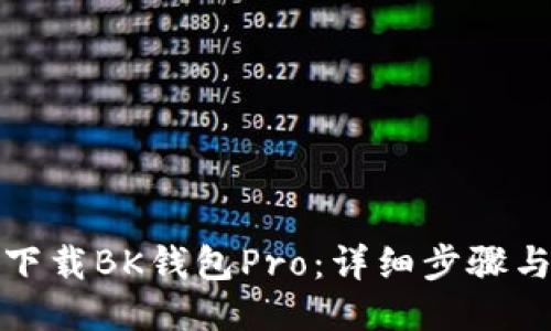 如何下载BK钱包Pro：详细步骤与技巧
