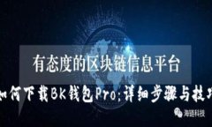 如何下载BK钱包Pro：详细步骤与技巧