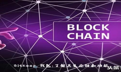 BitKeep 钱包：了解其生态链和功能