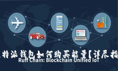 比特派钱包如何购买能量？详尽指南