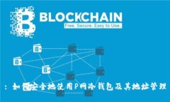 : 如何安全地使用P网冷钱包及其地址管理